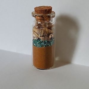 64 pc. 2 inch sand and small shell souvenirs